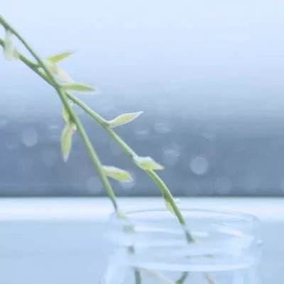 吟游战记官方下载